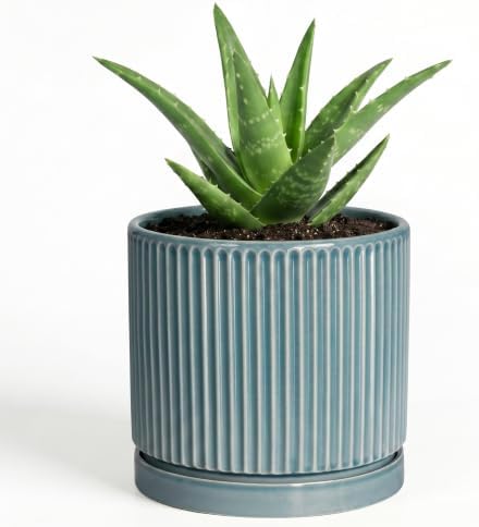 4 Inch Pots for Plants, Ceramic Planter with Saucer, Glaze Blue by Unknown