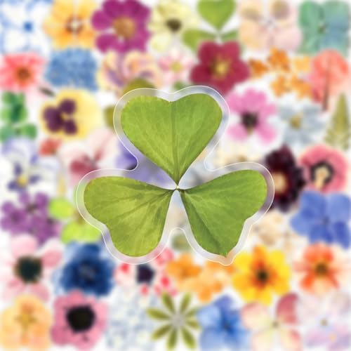 50PCS Transparent Flora Scrapbook Stickers, Flower-E - Image 2