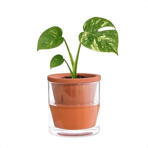 D'vine Dev Self Watering Terracotta Planter Pot, 4 in, 37-X-A-1 by DvineDevPlanterPotsandStand
