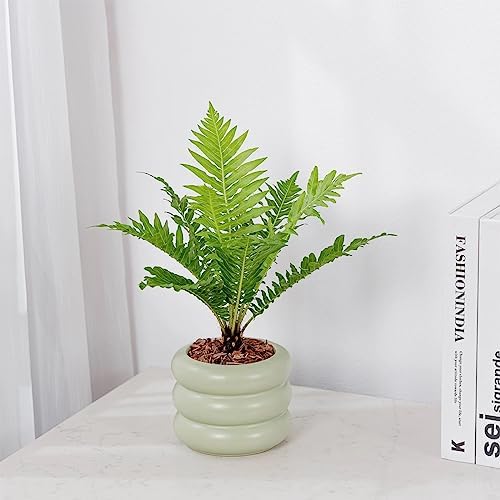 Ceramic Plant Pot Indoor, 4.5 Inch Flower Pot with Drainage Hole, Small Bubble Design Ceramic Planter for Home & Office Decor (Green) - Image 3