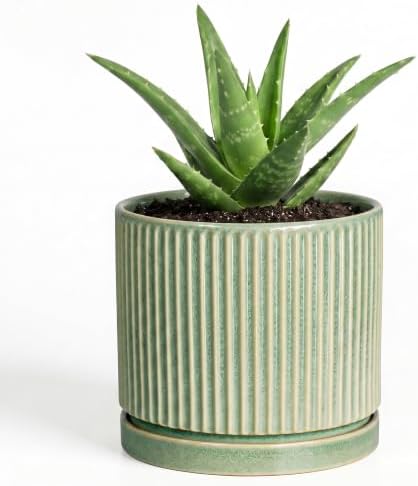4 Inch Plant Pots, Ceramic Planter, Round Flower Pots, Green by Unknown