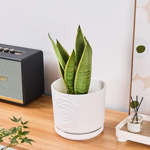 Ekirlin 7 Inch Plant Pot for Indoor Plants, Modern Ceramic Glaze Planters, Round Planter Pot with Drainage Hole and Saucer, Pothos Flower Pots for Succulent, Orchid, Snake Plant,Gift for Plant, White - Image 6