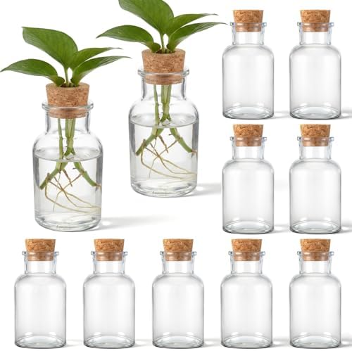 12 Pack Glass Plant Propagation Stations, Cylindrical by Acellegic