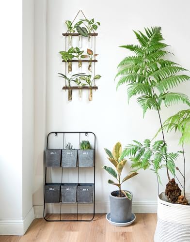 Mkono Plant Propagation Station, 3 Tier Small Brown Wall Hanging Vase Tubes - Image 4