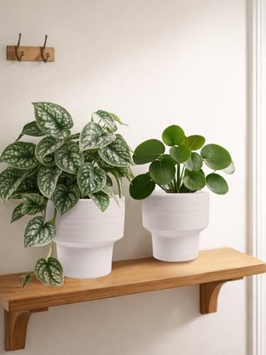 INGOFIN Ceramic Planter Pot Set of 3, 4/5/6 Inch Indoor Decorative Cachepot for Pothos & Succulents, No Drainage Hole, Modern Tabletop Desk Display Plant Pot for Home Decor, Sandblasted White - Image 6