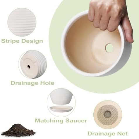 Ceramic Pots for Plants - 6 Inch Plant Pot with Drainage Hole and Saucer, Round Planters for Indoor Outdoor, Flower Pots, Modern Planter, Home Office Room Decor, Gifts for Plant Lovers, White - Image 7