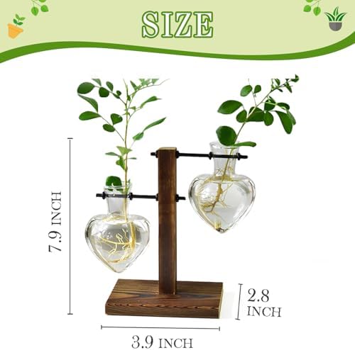 XXXFLOWER Plant Propagation Station Terrarium Wooden Stand 2 Love Bulb Vase - Image 2