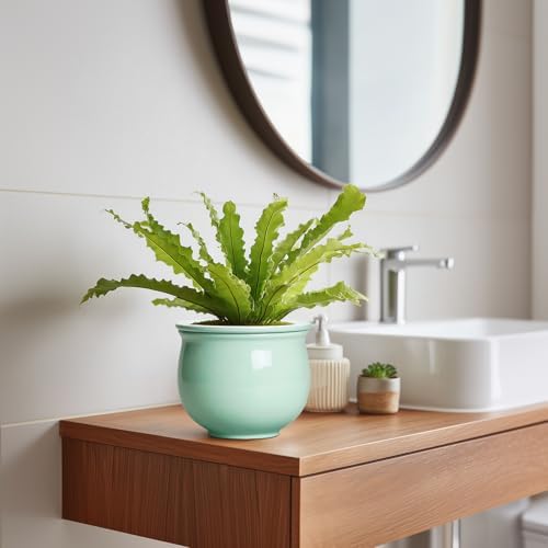 6 Inch African Violet Pots, Ceramic Self Watering Planter with Absorbent Inner Pot, Round Pots for Indoor Plants Outdoor, Ceramic Flower Pot, Office Decor, Plant Lover Gifts, Mint Green - Image 5