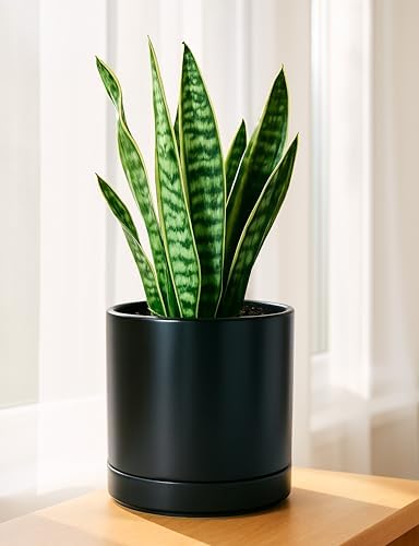 D'vine Dev 8.2 Inch Ceramic Planter Pot, Black, 94-O-D-2 - Image 3