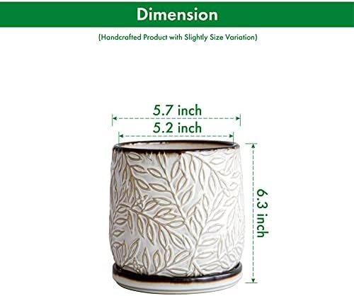 D'vine Dev Embossed Leaves Ceramic Planter, 6 in, Smoked White, 27-A-X-1 - Image 3