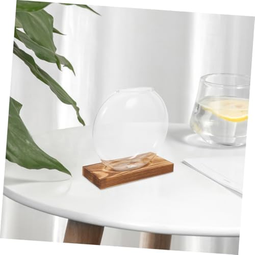 Glass Plant Propagation Station Round Vase with Wooden Base, 2pcs - Image 5