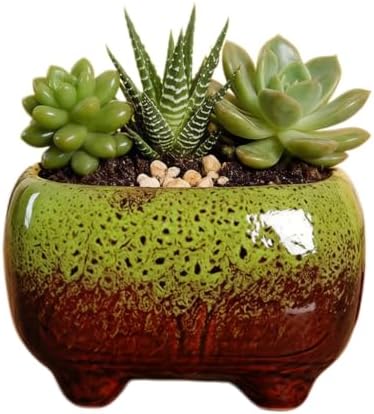 Cute 4.7 Inch Rectangle Ceramic Home Garden Decoration Succulent Cactus Flower Pots Container -Plant Not Included (Green) - Image 3