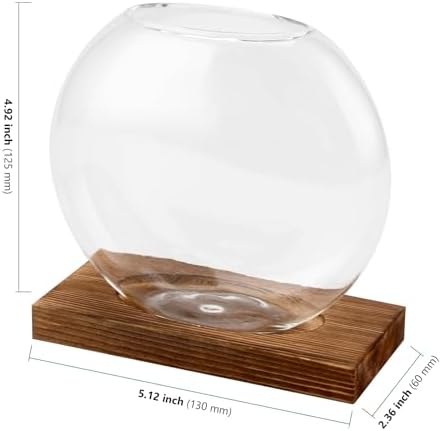HAKZEON 4 Pack Desktop Round Glass Planter Hydroponics Vase, Glass Planter Terrarium Flower Vase with Wooden Stand, Propagated Plant Jars for Plants, Flower, Home Office Desktop Decor - Image 2
