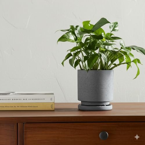 Nihow Ceramic Plant Pot Drainage Hole & Saucer for Indoor Plants, 5.7 Inch - Image 7
