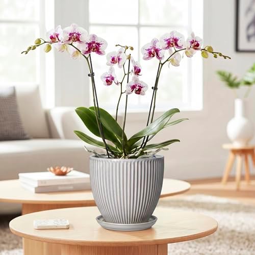 6 Inch Pots for Plants, Ceramic Plant Pots for Indoor Snake Plants, Round Succulent Planter with Drainage Hole and Saucer, Modern Decorative Flower Pot, Bathroom Decor, Gardening Gifts, Grey - Image 3
