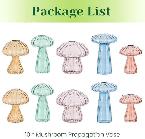 Hewory Plant Propagation Stations: 10PCS Colored Mushroom Vase for Flower - Image 6