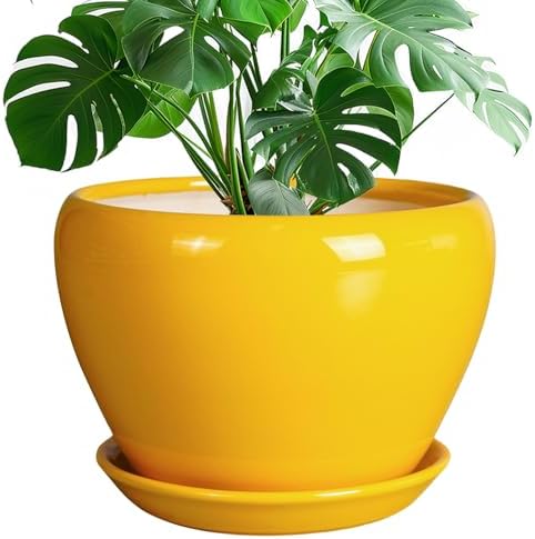 Ceramicfor Ceramic Planter - 10 Inch Plant Pot for Indoor Outdoor Plants Glaze Modern Round Planter with Drainage Hole and Saucer for Garden Office Home Room Patio Decor, Yellow by Ceramicfor