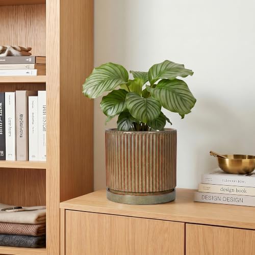 6 Inch Plant Pot, Ceramic Planters with Saucer, Retro Brown - Image 7