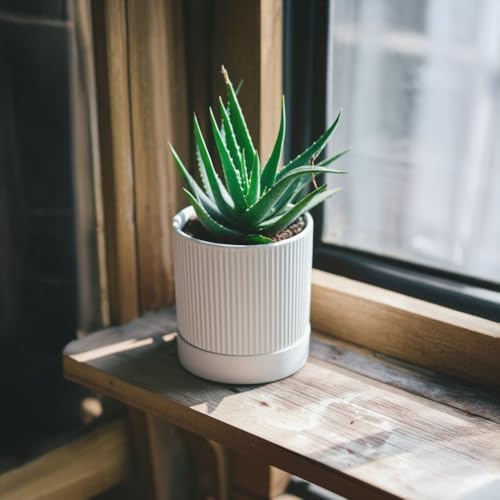 HERDUK Small Plant Pots, 4 Inch Pots for Indoor Plants, Modern Minimalist Ceramic Plant Pots with Drainage Hole & Saucer, White Set of 2 - Image 4