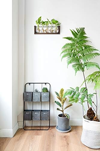 Mkono Plant Propagation Station Hanging Desktop Wooden Stand 5 Vases Holder - Image 2