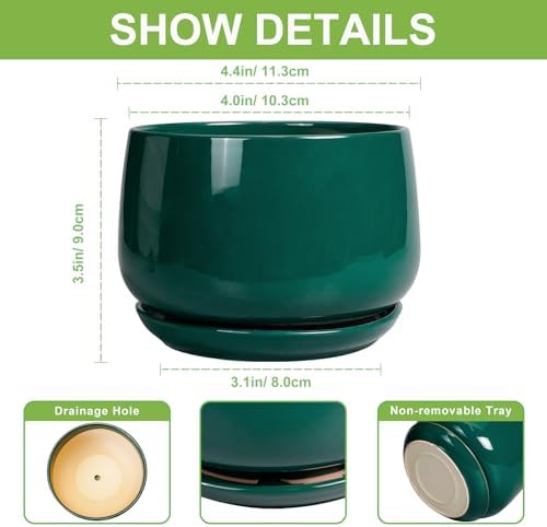 G EPGardening 4 inch Plant Pots - Small Ceramic Planter with Drainage Hole & Tray, Succulent Pots Indoor Outdoor, Round Modern Planter, Decorative Flower Pot, Desk Decor, Gifts for Plant Lover, Green - Image 2