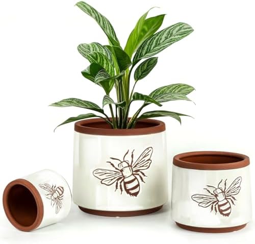 Terracotta Pots, 8+6+4 Inch Plant Pots, 3 Pcs with Drainage Holes by YBXYIBOXUAN