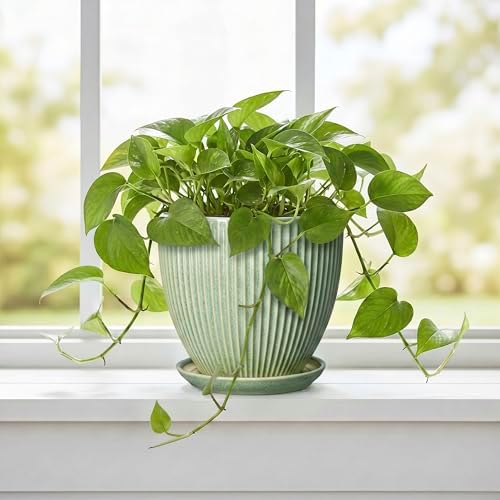 Ceramic Plant Pots, 6 Inch Ceramic Pots for Herb Snake Plants, Indoor Small Flower Pot with Drainage Hole and Saucer, Modern Round Planter, Room Office House Decor, Gardening Gifts, Green - Image 5