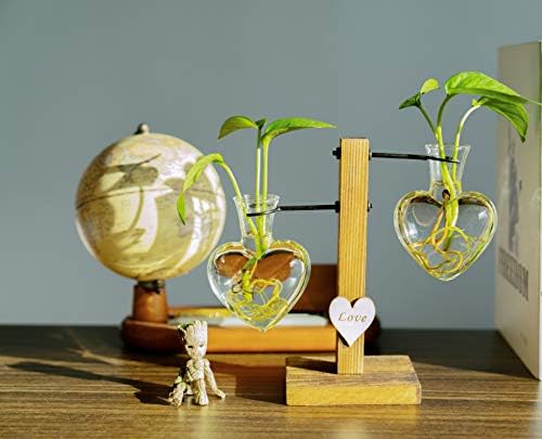 Kingbuy Heart Shaped Glass Hydroponic Vase with Retro Wooden Stand - Desktop Plant Terrarium for Bulb Planter, Water Plant Propagation Glass Vase Pot Planter Flower Desktop Decoration Home Garden - Image 5