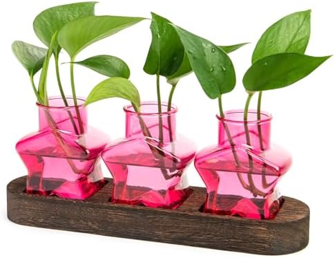 XXXFLOWER Plant Propagation Station with Wooden Stand 3 Pink Star Jars by XXXFLOWER