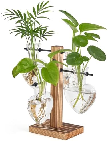 Mkono Propagation Stations,4 Heart Shaped Glass Plant Vases with Wood Stand by Mkono