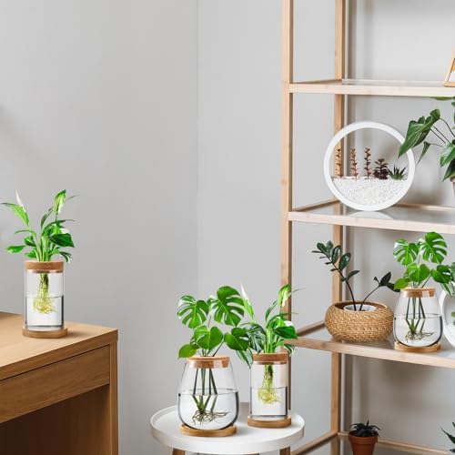 Layhit 4 Pcs Plants Propagation Stations vases Glass Planters with Wooden Lid and Bamboo Stand for Hydroponic Plants Gardening Gifts for Women Mom Home Office Tabletop Decoration(Classic Style) - Image 6
