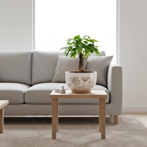 Terracotta Pots, 8+6 Inch Plant Pots, 2 Pcs with Drainage Holes - Image 3