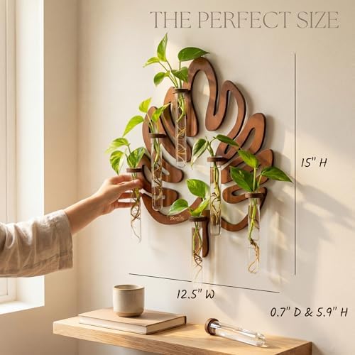 Leaf-Shaped Plant Hanging Propagation Stations with 6 Glass Vases & 1 Spare - Image 4