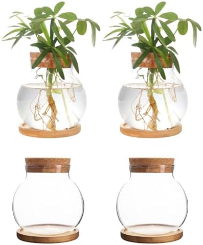 Plant Propagation Station,Hydroponic Glass Container Vase Jars, with Wooden Saucer for Desks, Houses, Garden Decorations, Home Kitchen Decorations and Gifts for Plant Lovers (4) by CHPINDAM