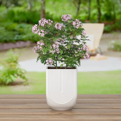 Ceramic Planter, 6 Inch Plant Pot with Drainage, Matte White - Image 4