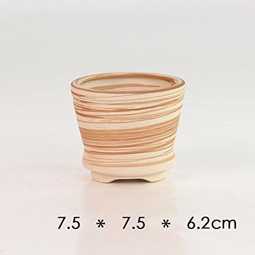 2.5-3" Succulent Pots, Ceramic Wood Pattern Cactus Planters Set, 6 Pack - Image 3