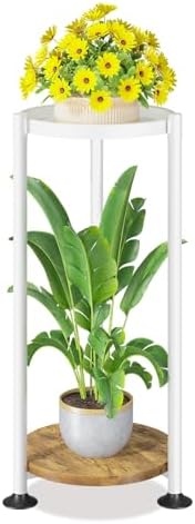 LASZOLA Plant Stand Tall Flower Holder for Indoor Corner, 2 Tier White by LASZOLA