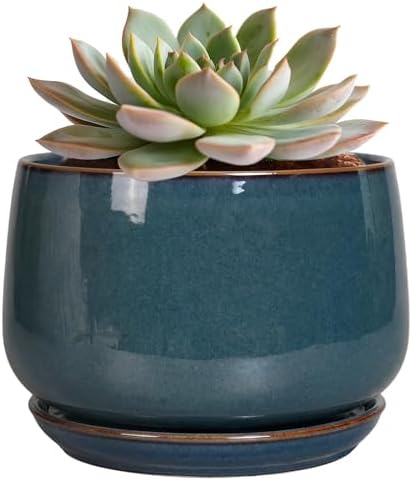 G EPGardening Ceramic Planter 6 Inch - Round Modern Ceramic Pot for Plants with Drainage and Plant Tray Indoor for Flower, Apartment Decor, Housewarming Gifts New Home, Retro Blue by GEPGardening