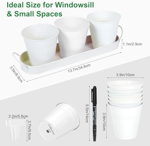 Herb Garden Planter Indoor Kit – 6 Metal Pots with 2 Trays for Windowsill & Kitchen Counter – Modern Decorative Indoor Planters for Herbs, Succulents & Small Plants, White - Image 7