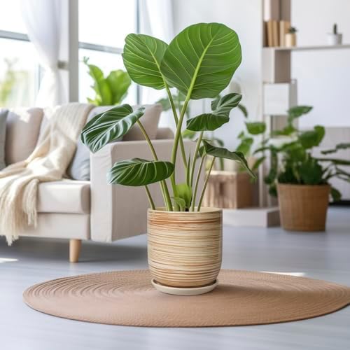 12 Inch Pots for Plants - Ceramic Planters for Indoor Plants, Large Planter Pot for Home Garden Patio Office with Drainage Hole Cylinder Flower Pot Yellow - Image 2