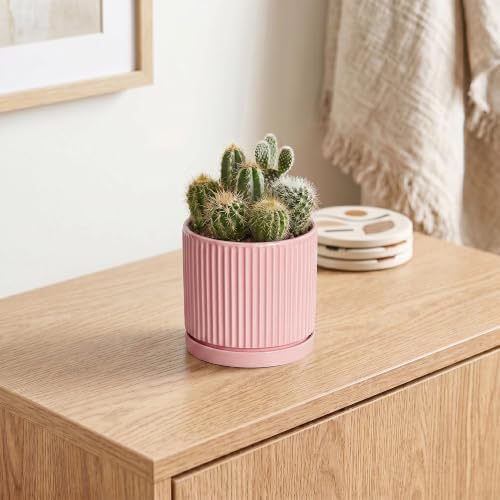 Ceramic Succulent Pots, 4 Inch Pots for Plants, Round Planter, Pink - Image 5
