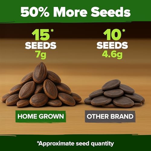 HOME GROWN Organic Crimson Sweet Watermelon, 15+ Seeds, Citrullus lanatus - Image 4