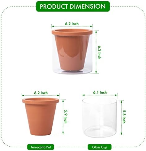D'vine Dev Self Watering Terracotta Planter Pot, 6 in, 2-Pack, 37-Y-B-1 - Image 3