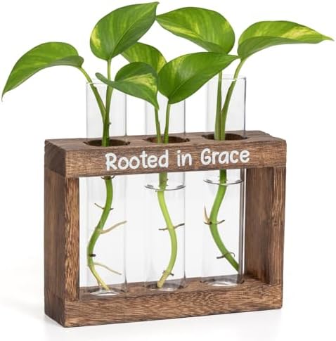Rooted in Grace Propagation Station – Wooden Plant Holder with 3 Glass Vases, Indoor Rooting Station for Cuttings, Christian-Inspired Gift for Women, Birthday, Housewarming, Plant Lover Décor by LBCIGOR