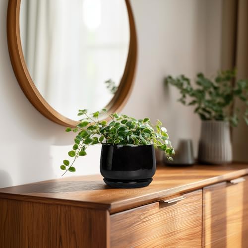 G EPGardening Small Ceramic Planter - 4 Inch Succulent Pots with Drainage Hole & Sacuer, Flower Pots for Indoor Outdoor Plants, Modern Decorative Round Planter, Room Decor, House Warming Gifts, Black - Image 3