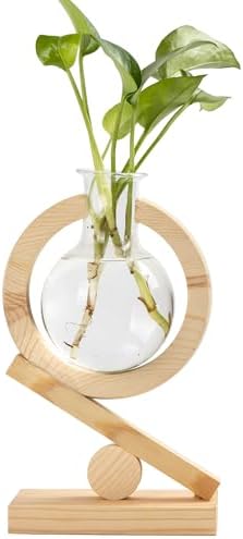 Glass Plant Propagation Station with Wooden Stand, Natural Wood by Unknown
