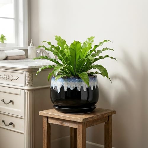 Ceramic Plant Pots - 9 Inch Flower Pots for Indoor Plants, Decorative Pots for Plants with Drainage and Saucer, Large Planter, House Office Decor, Gardening Gifts for Women, Black-Blue - Image 6