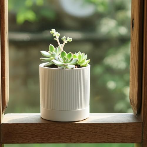 HERDUK Small Plant Pots, 4 Inch Pots for Indoor Plants, Modern Minimalist Ceramic Plant Pots with Drainage Hole & Saucer, White Set of 2 - Image 5