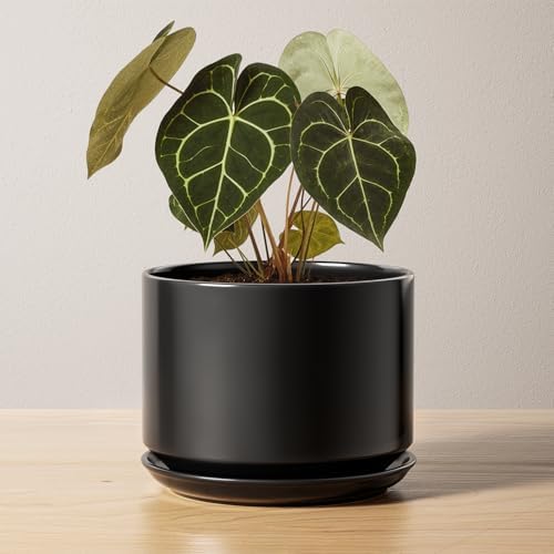 LE TAUCI Ceramic Pots for Plants, 6.8 Inch Plant Pots with Drainage Hole & Saucer, Modern Planter for Indoor Plants, Stable & Durable, Perfect for Living Room or Office Decor, Black by LETAUCI
