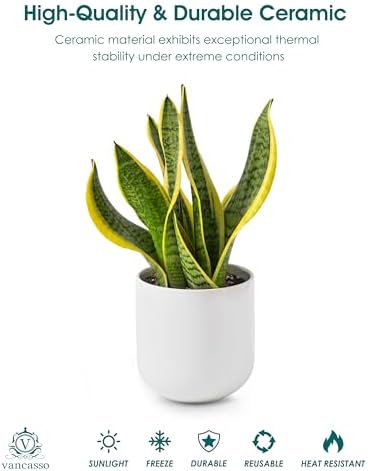 vancasso 6 Inch Ceramic Plant Pots, Planters with Drainage Hole, Flower Pots Planters Pots for Indoor Plants, Modern Indoor Decorative Garden Pot, Home Decor, White - Image 4